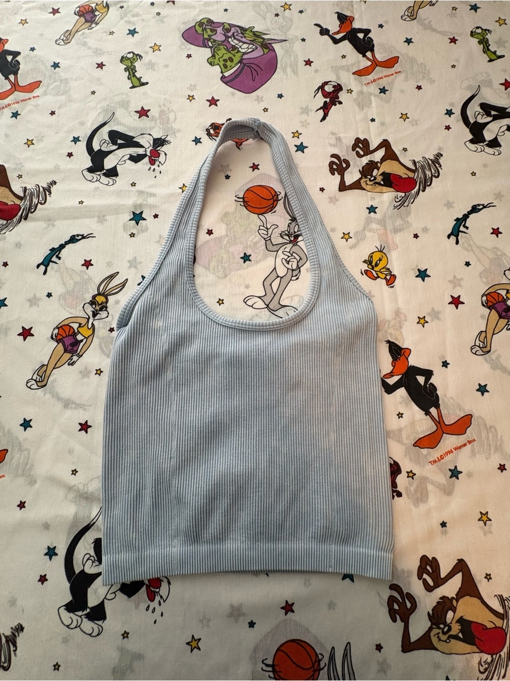 American Eagle Outfitters Light Blue Ribbed Halter Crop Top